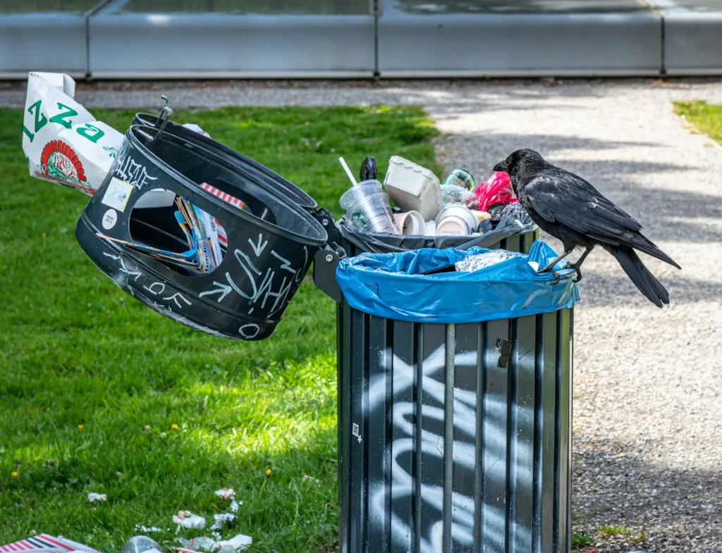 Junk Removal Near Me Lisle IL: Fast, Affordable & Professional Service 12 junk removal near me lisle il — Waste Warriors Junk Removal